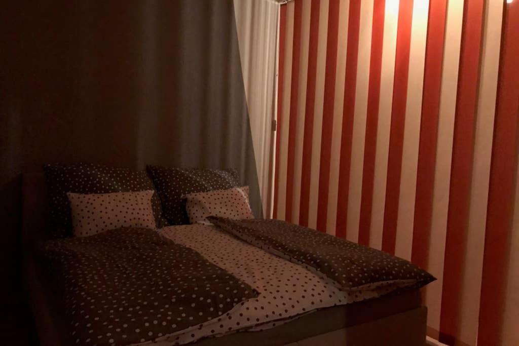 Apartman QUATTRO Sokolov Esterno foto